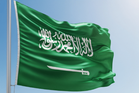 أفضل الأنشطة المربحة والمشاريع الواعدة في المملكة العربية السعودية